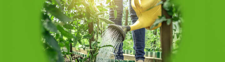 giesskanne kategorieeinstiegsbanner